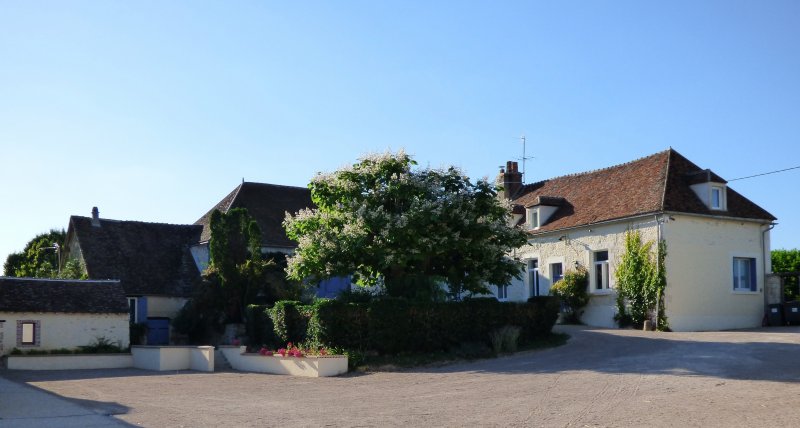 Le Manoir de Hauterive_89250 HAUTERIVE_4